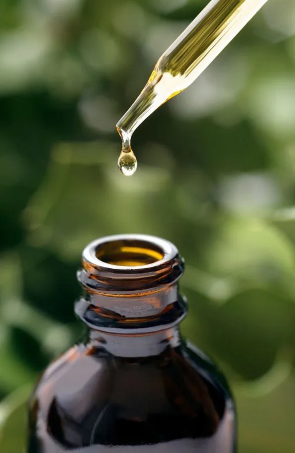 Uma planta, mil efeitos: o que a cannabis revela sobre o corpo humano e sobre os limites da medicina moderna?