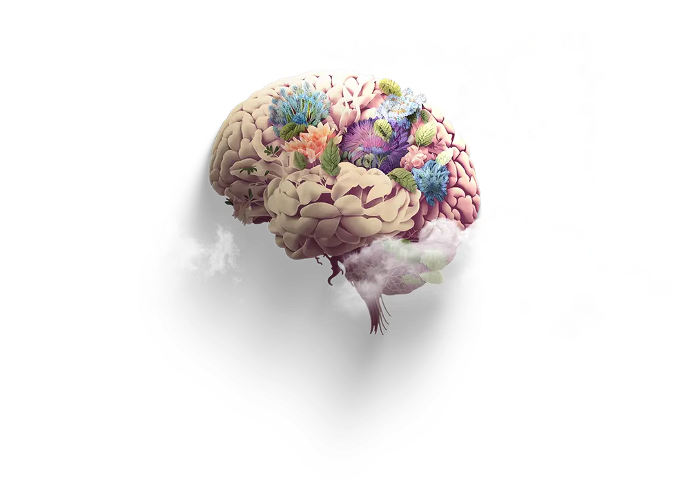 Ilustração de um cérebro humado repleto de flores